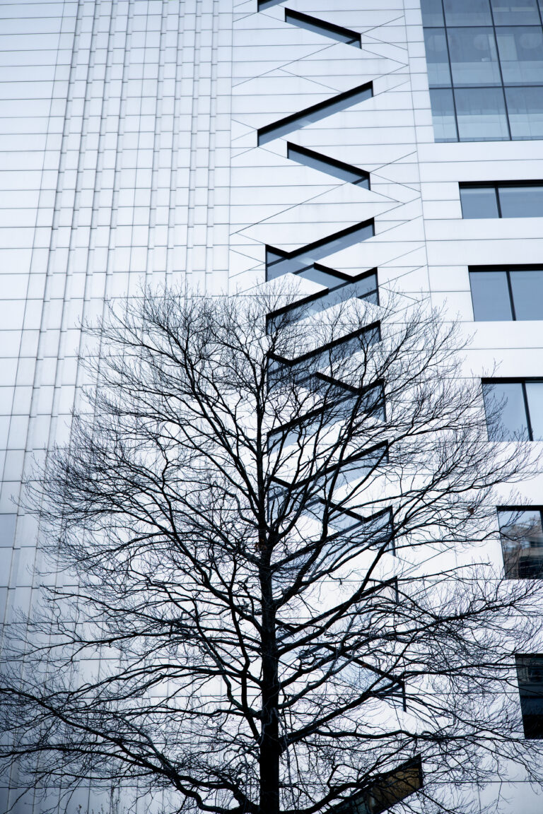 Photo by Julian Heritage