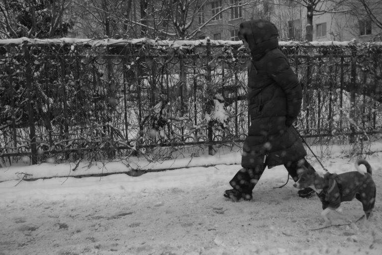 Photo by Feroce Boscaiolo