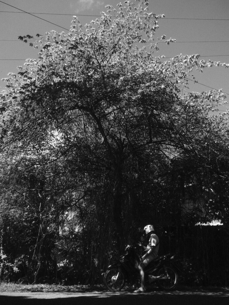 Photo by Niko Tolentino