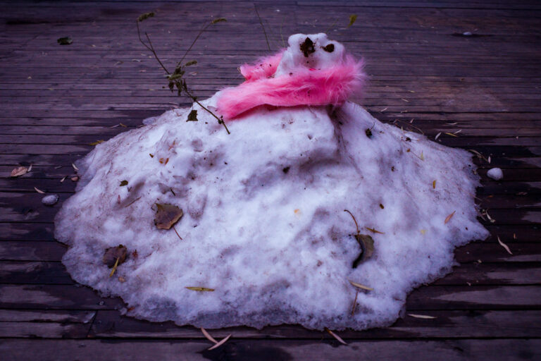 Photo by Alex 艾老师