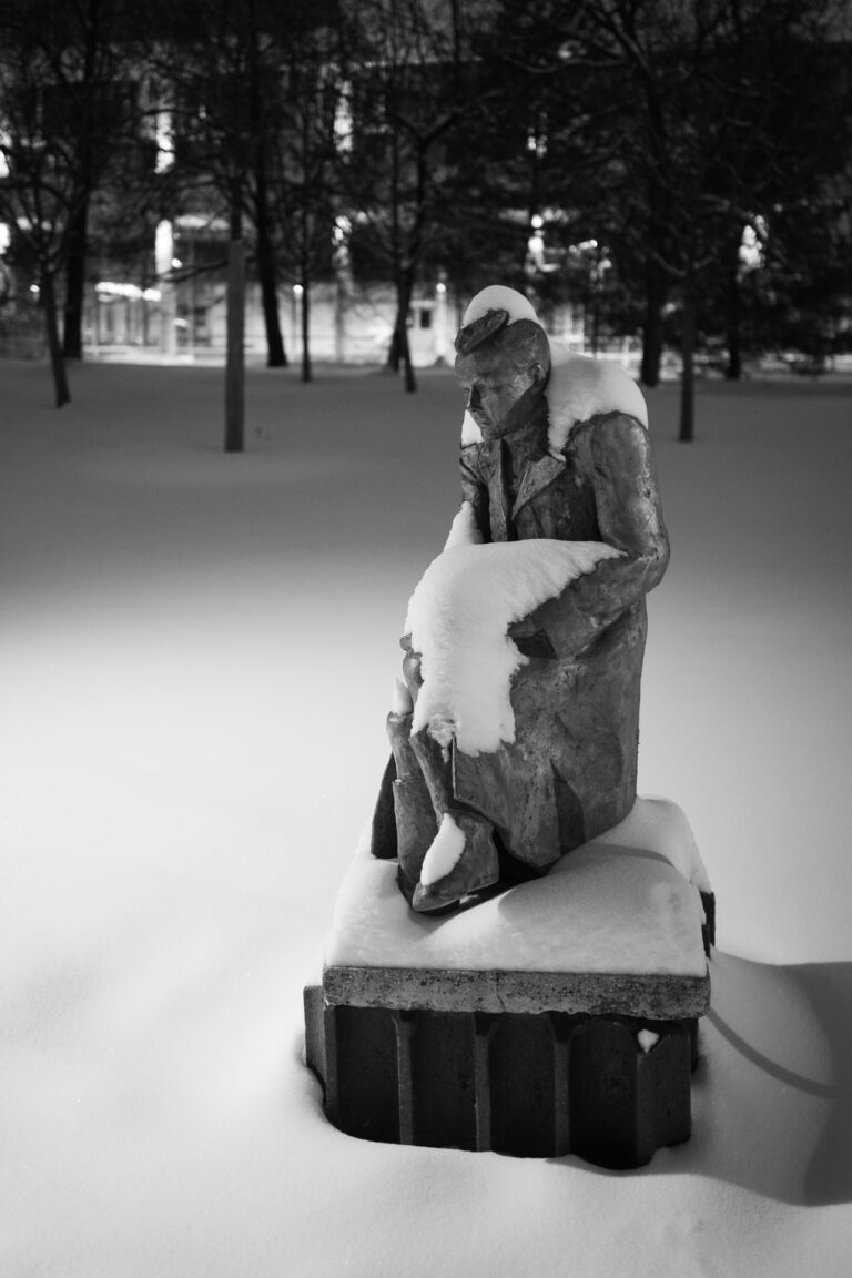 Photo by Dmitry Korol