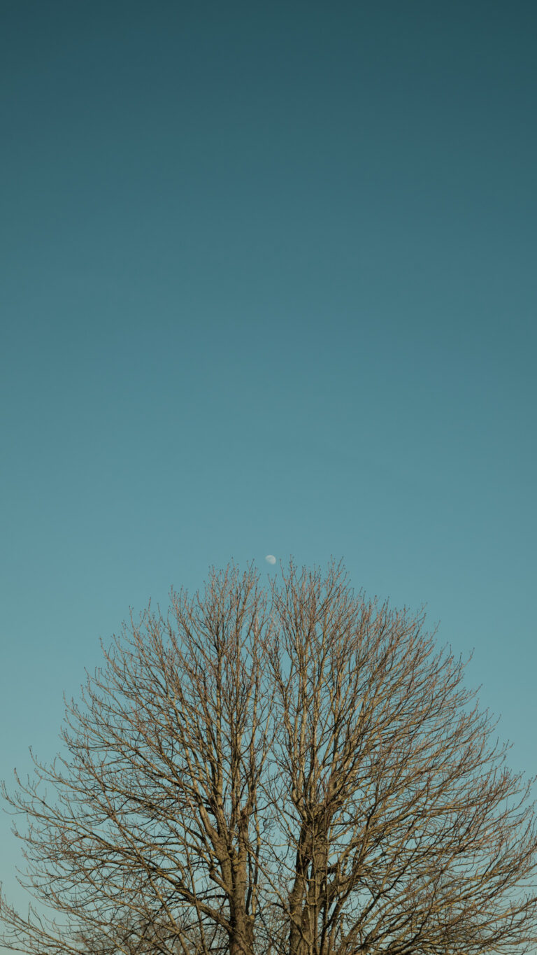 Photo by Alexander Tschirk