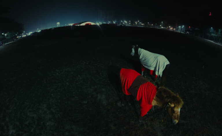 Photo by Mustavi Taofee