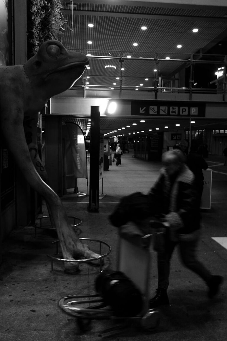 Photo by Pascal Hoerner