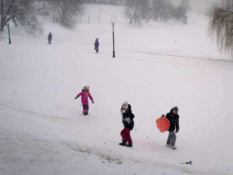 Photo by Dmitry Korol