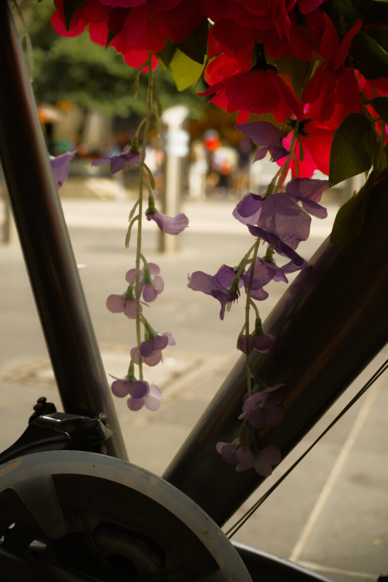 Photo by James Zhang