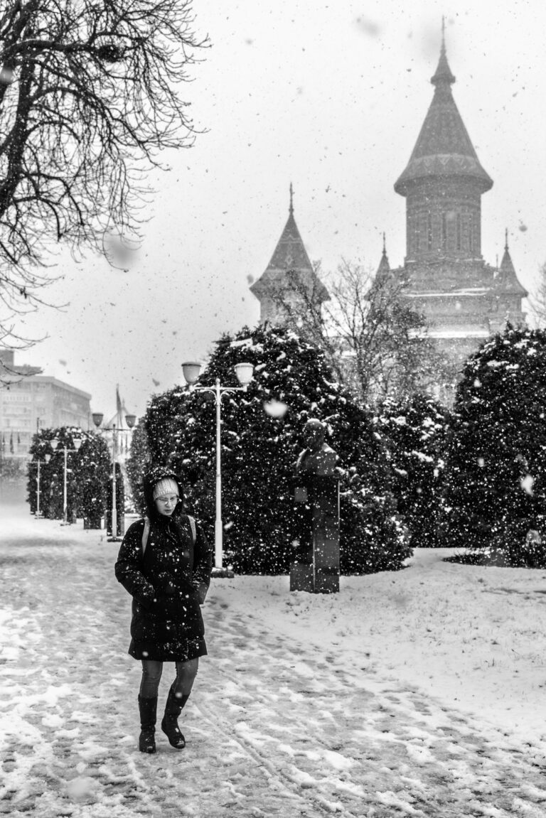 Photo by Cosnete Marian