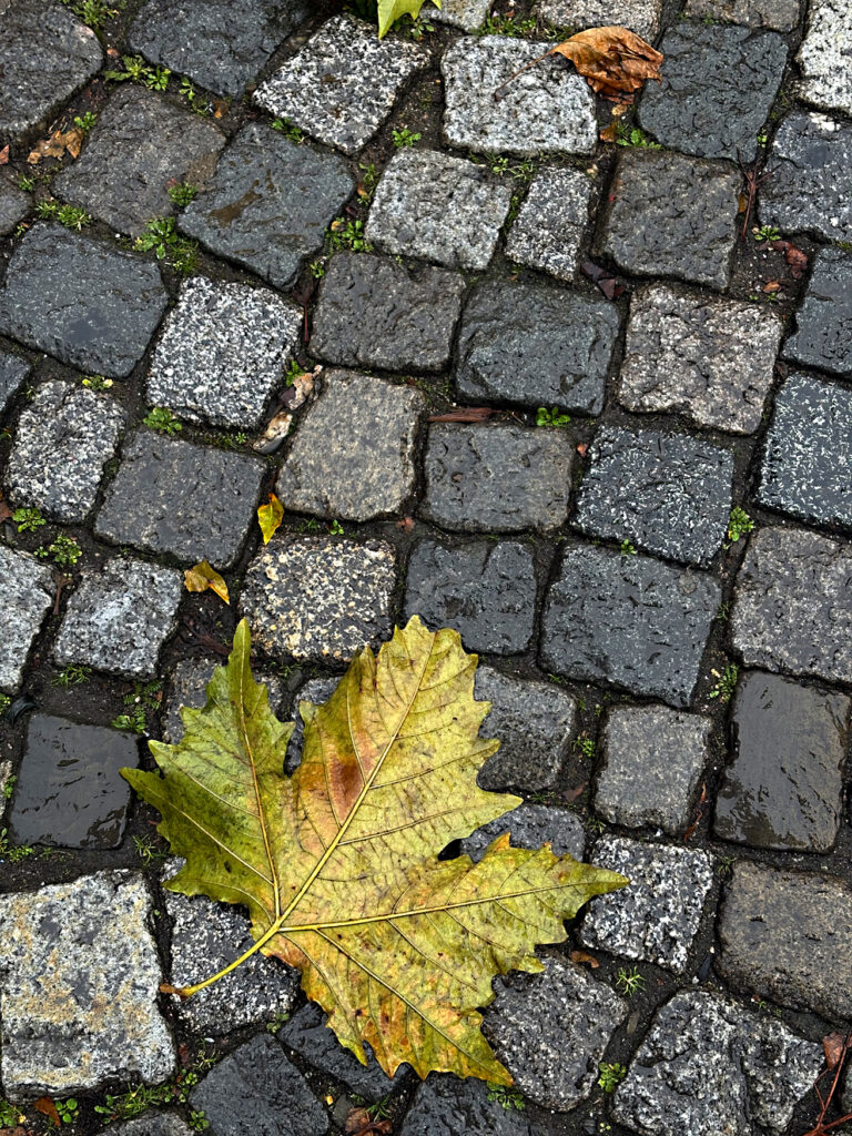 Photo by Franck Toto