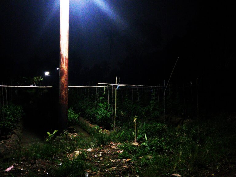 Photo by Fariz Azka Riyandi