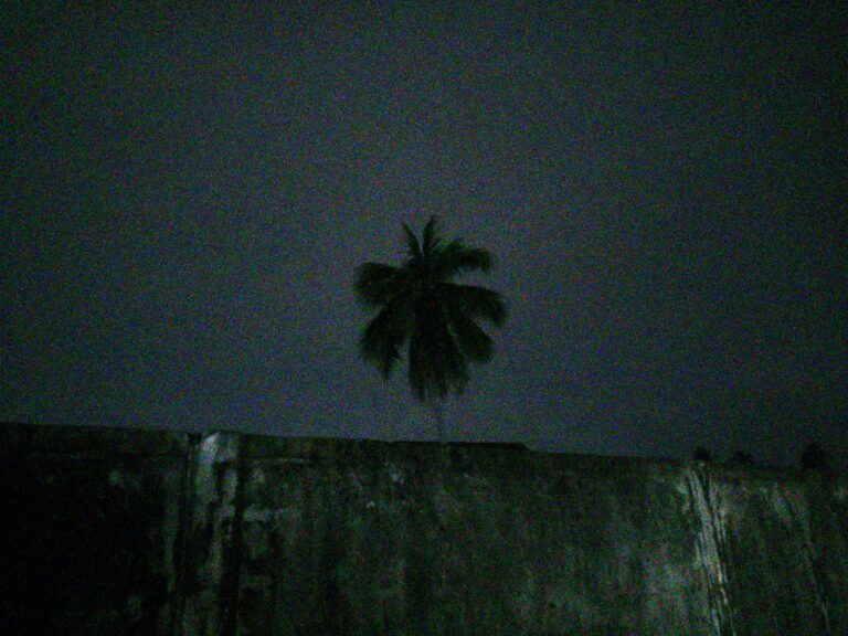 Photo by Fariz Azka Riyandi