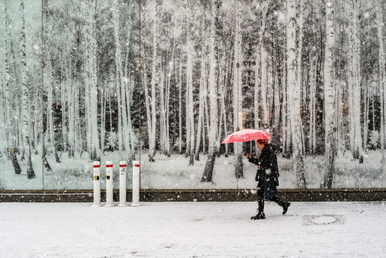 Photo by Thore Siebrands