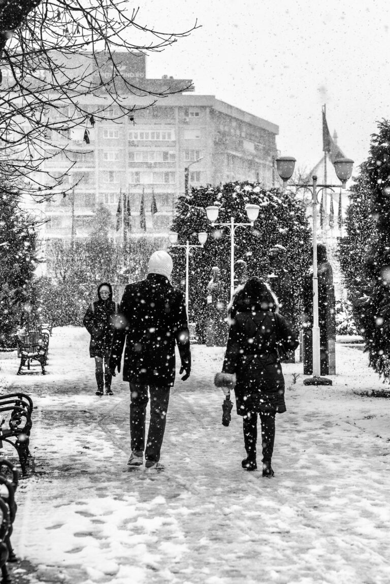 Photo by Cosnete Marian