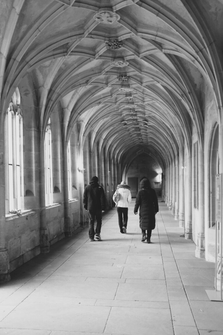 Photo by Ariwame Reynoso