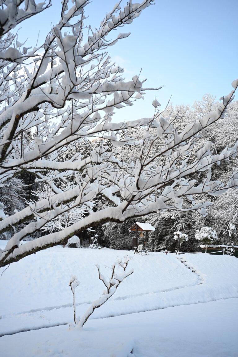 Photo by Eiji Kuwahara