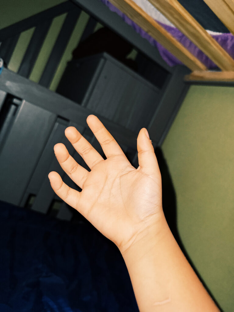 Photo by Diana Payne