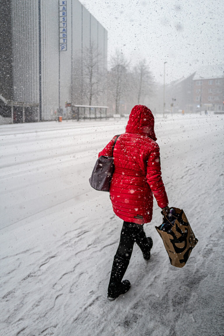 Photo by Thore Siebrands