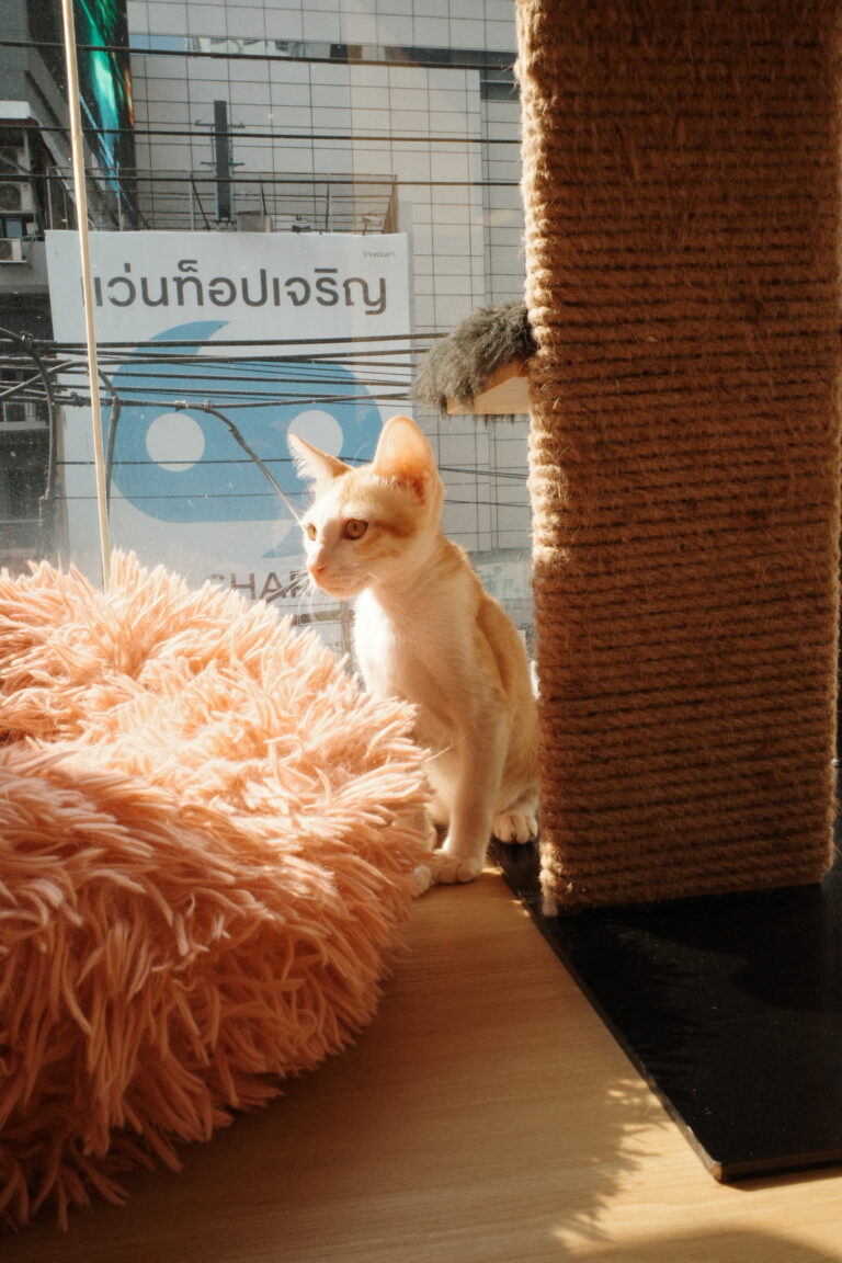 Photo by Bruce Wagner