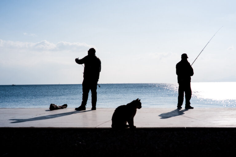 Photo by Torben Photography