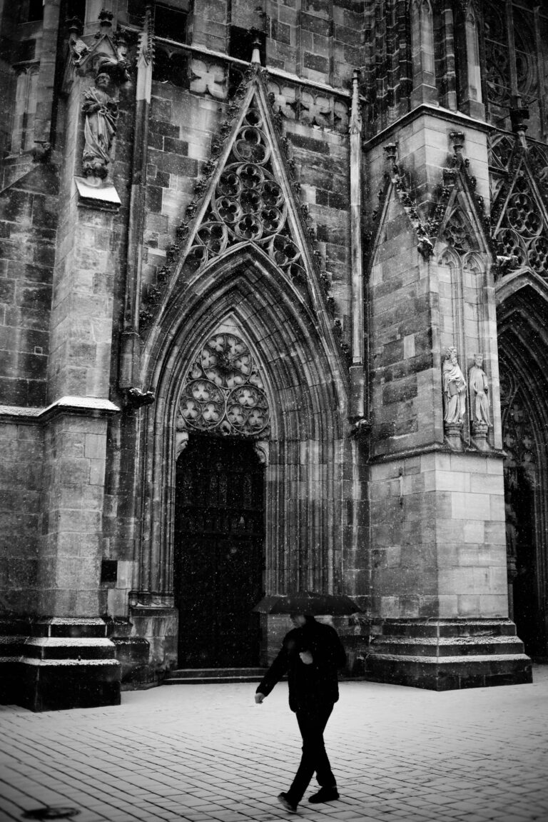 Photo by Jef 📷🍀