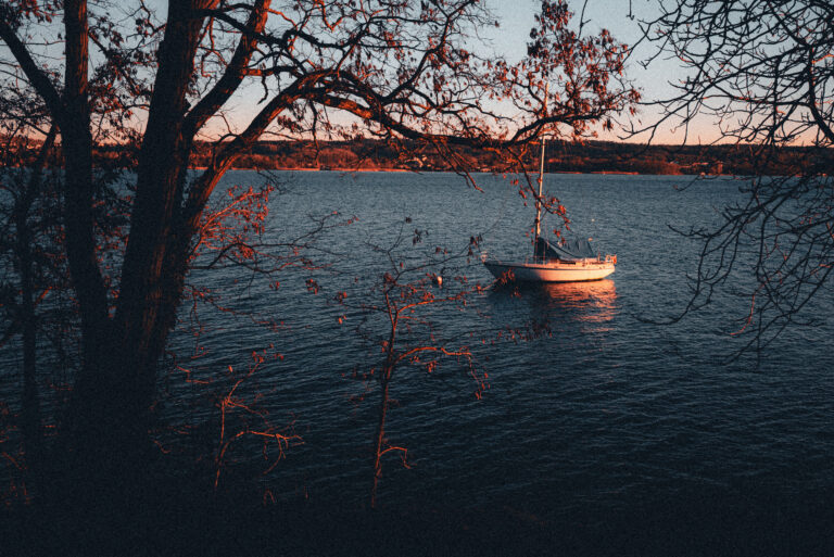 Photo by Alex Batista