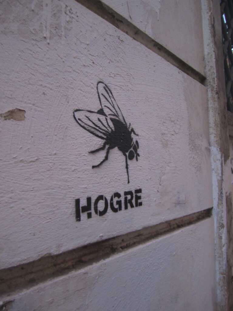 Photo by Stefano Silvi