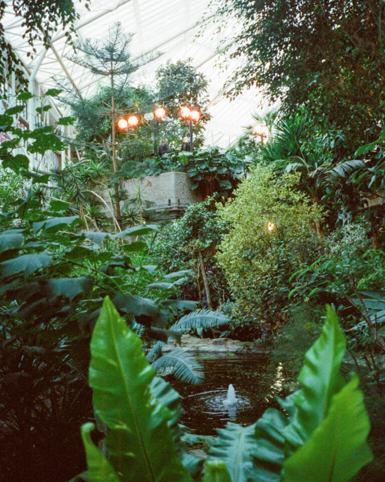 Photo by Steph Kattie