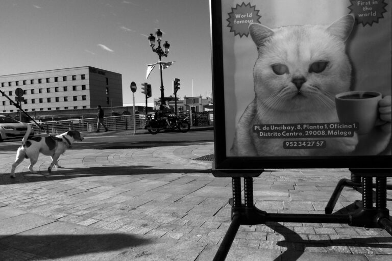 Photo by Pascal Hoerner