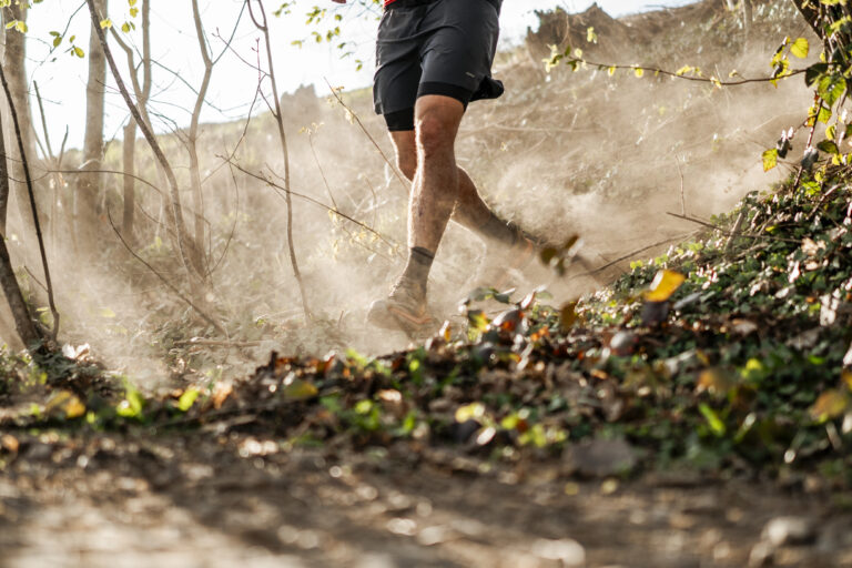 Photo by Hugo Fiévez