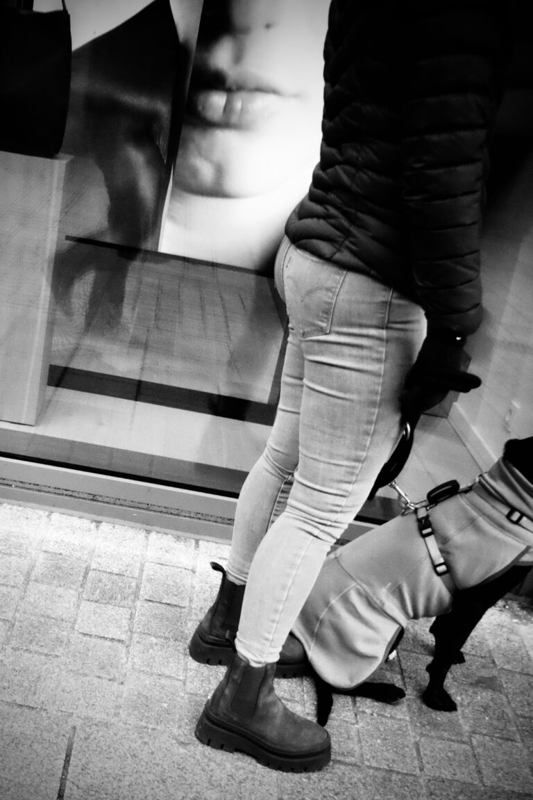 Photo by Jef 📷🍀