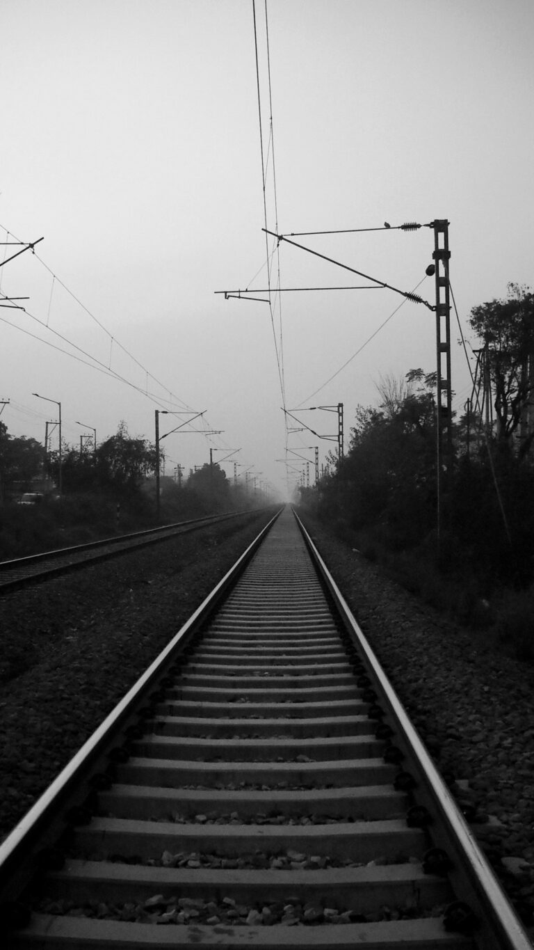 Photo by Sanat Gupta