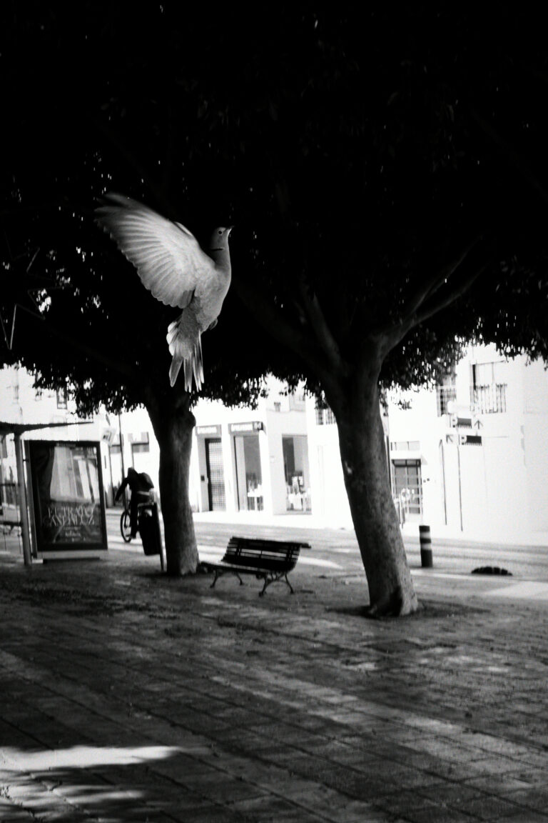 Photo by Trevor Morse