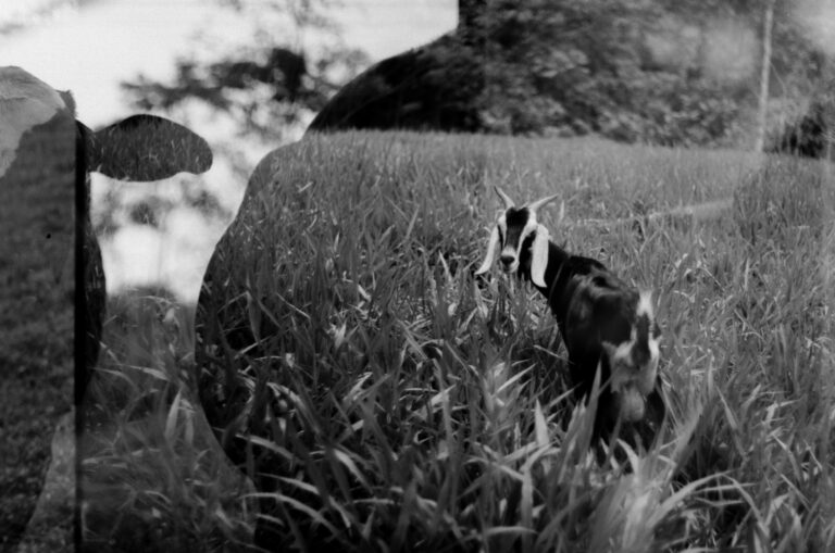 Photo by Adrian Romero