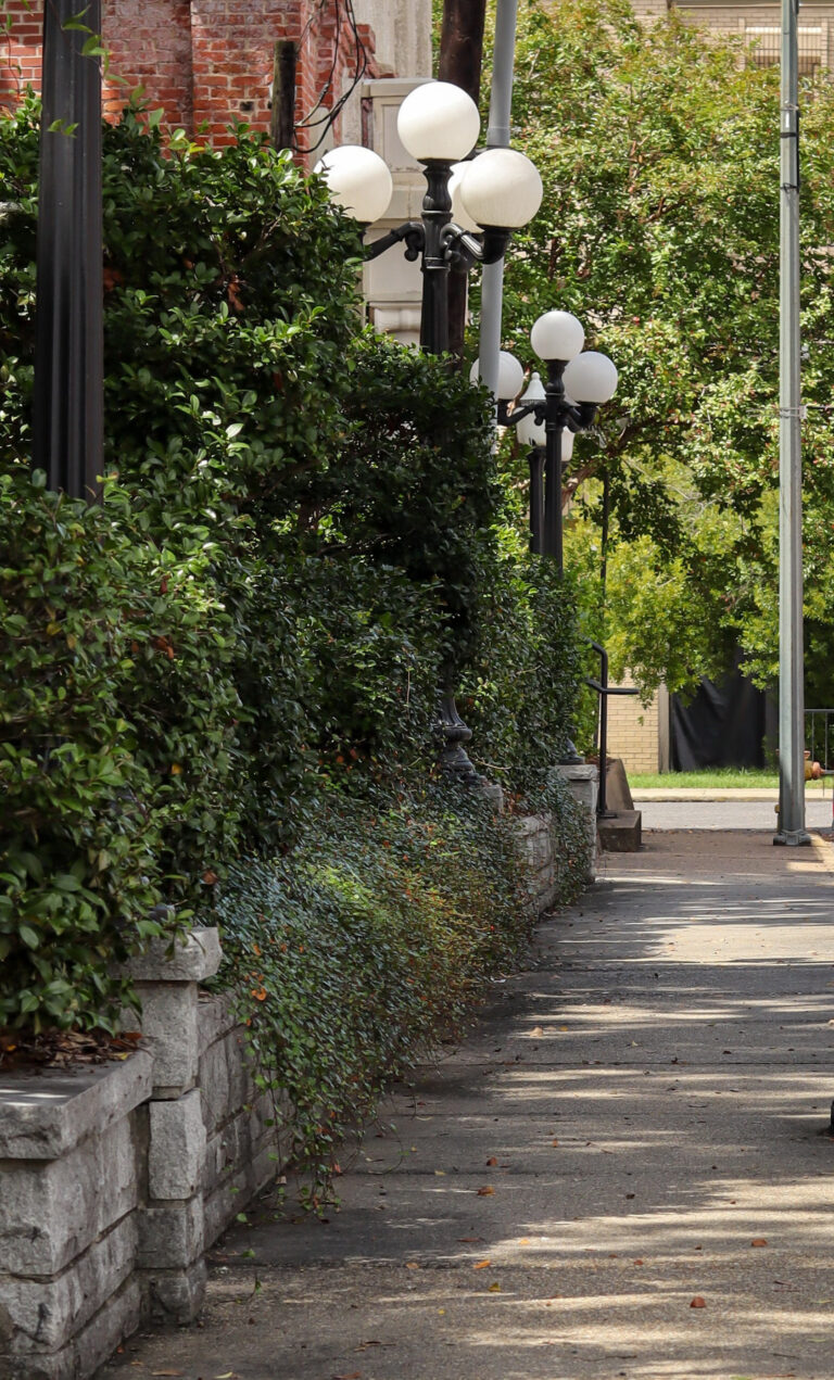 Photo by Sebastrian W..