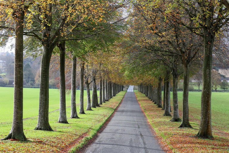 Photo by Simon Frost