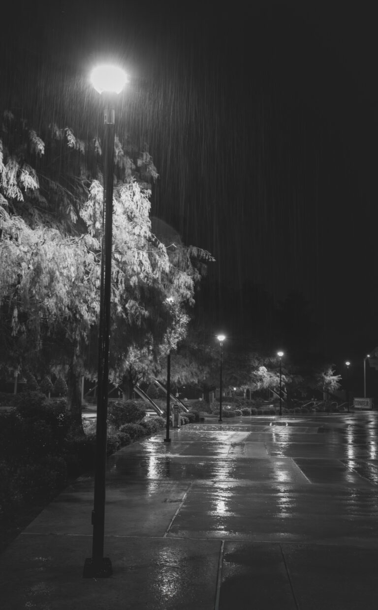 Photo by Brett Escuriex