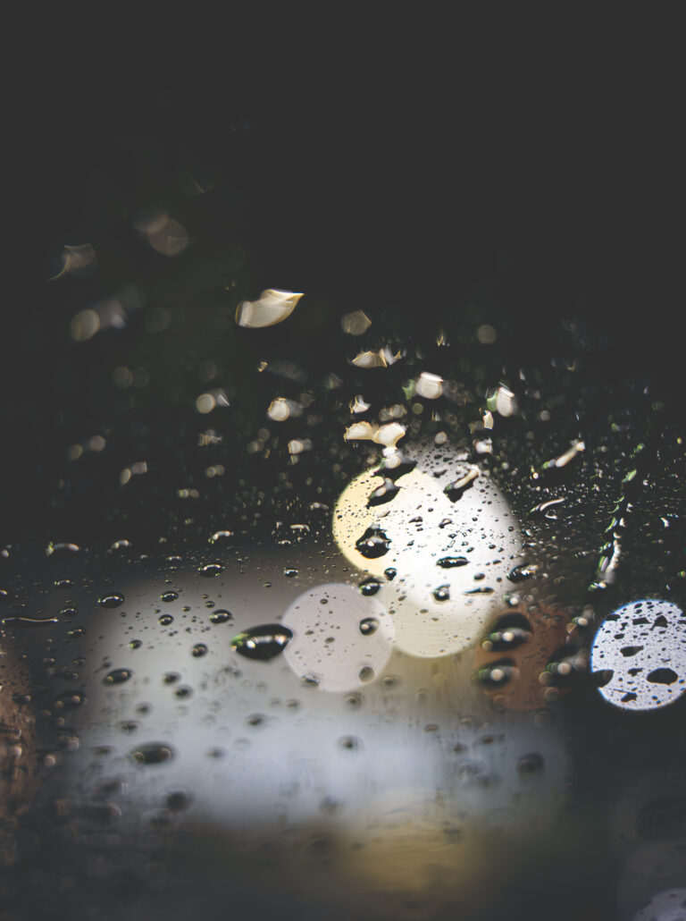 Photo by Brett Escuriex