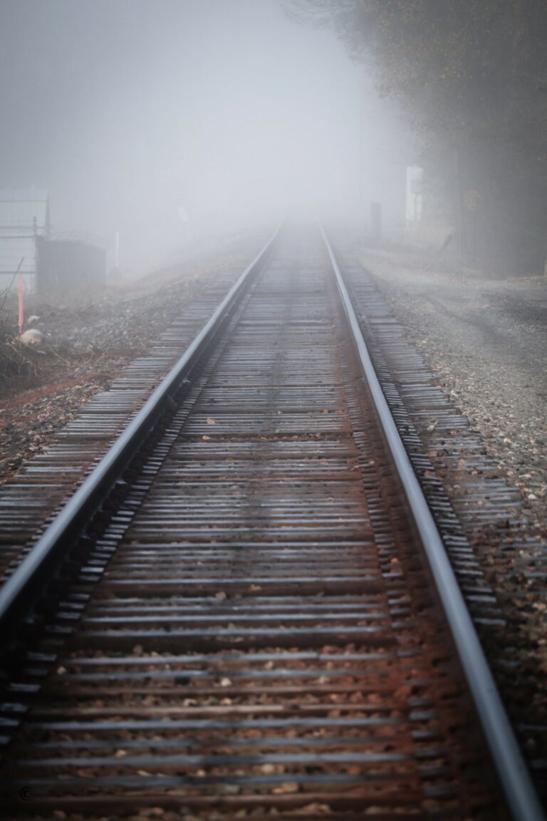 Photo by Sebastrian W..