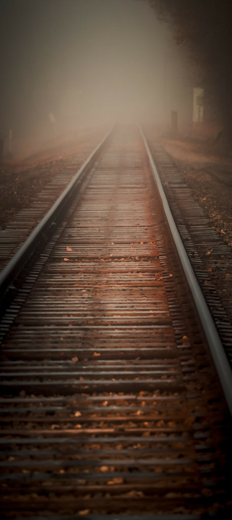 Photo by Sebastrian W..