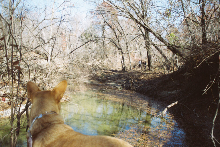 Photo by James Henningson