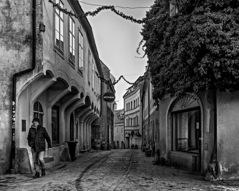 Photo by Johannes Pottfay