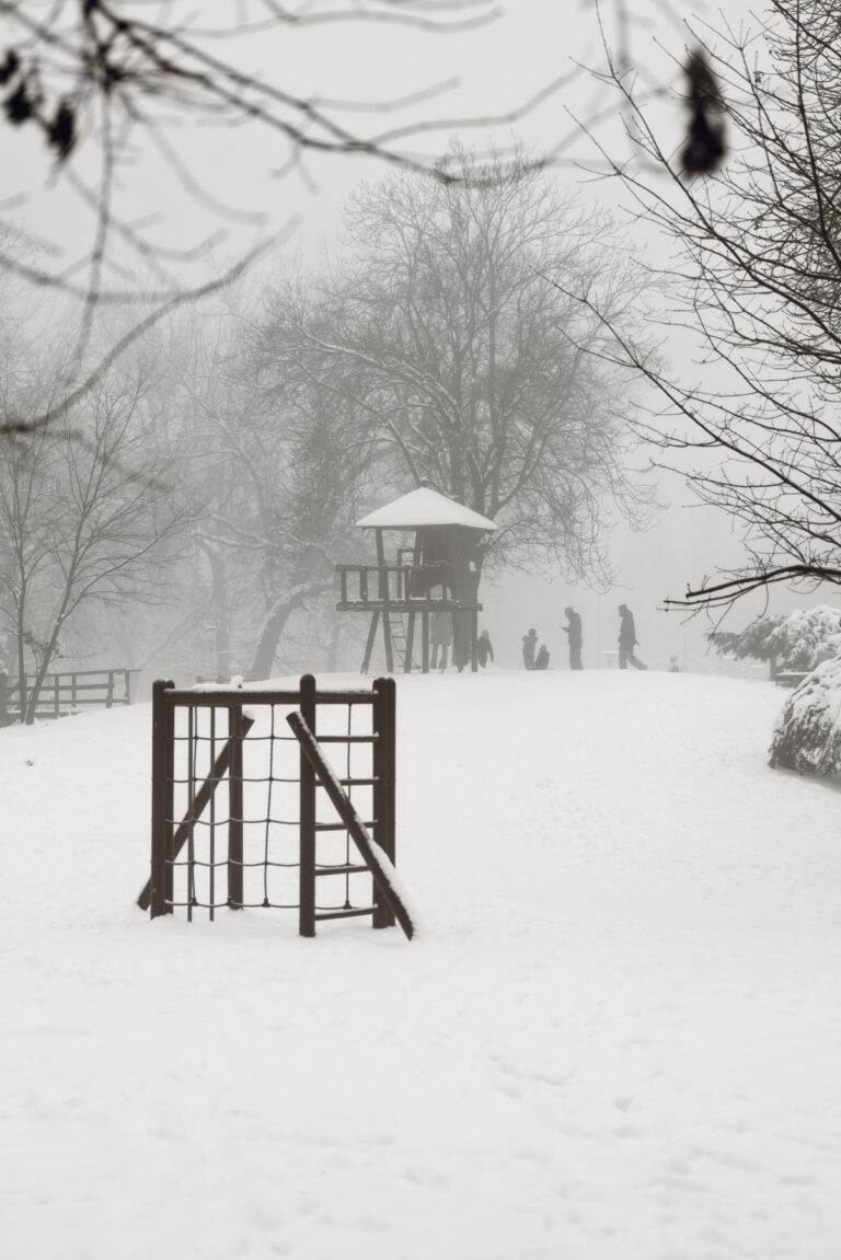 Photo by Cosnete Marian