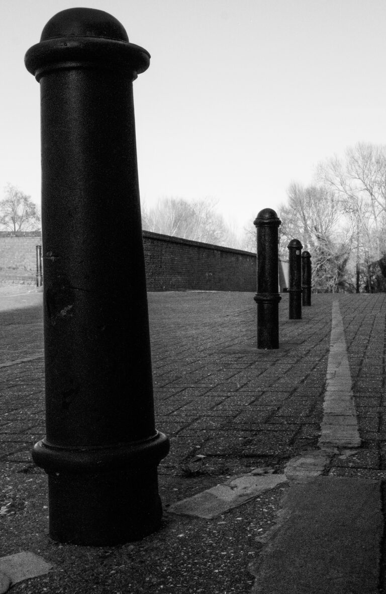 Photo by Simon Frost