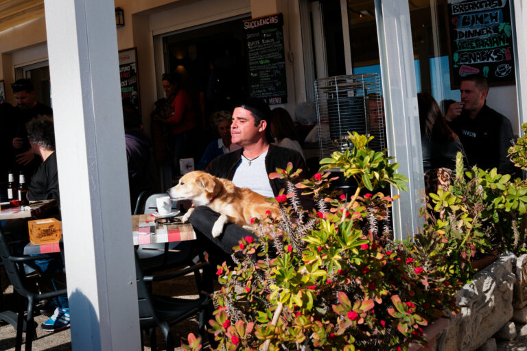 Photo by Trevor Morse