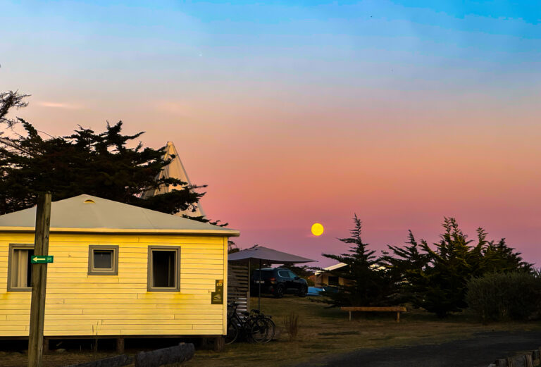 Photo by David George