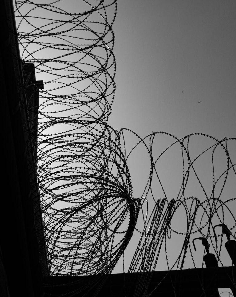 Photo by Simon Frost