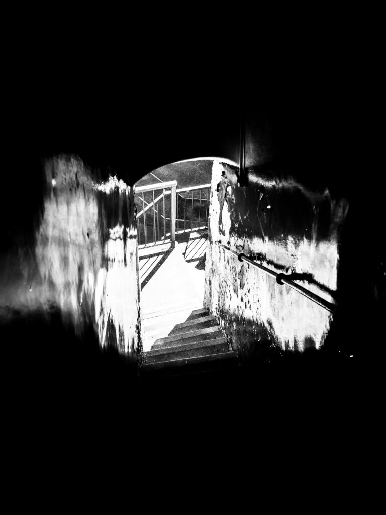 Photo by Simon Frost