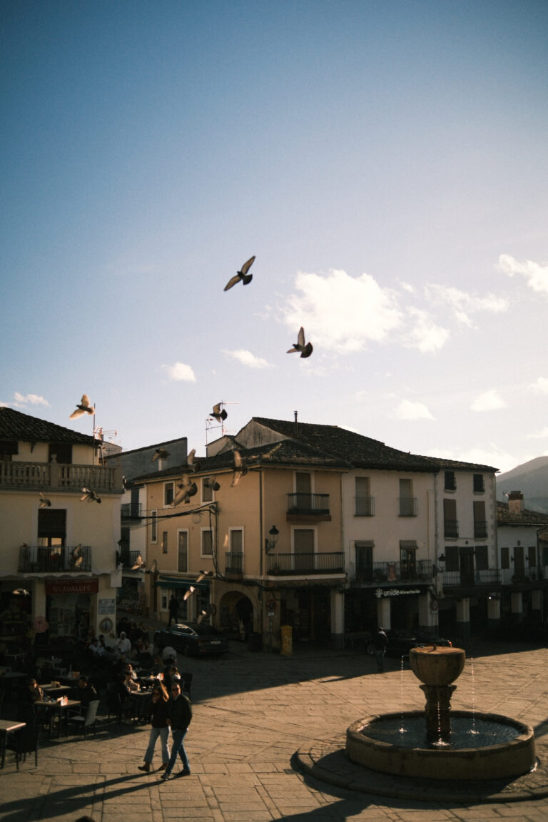 Photo by Wilson Tovar