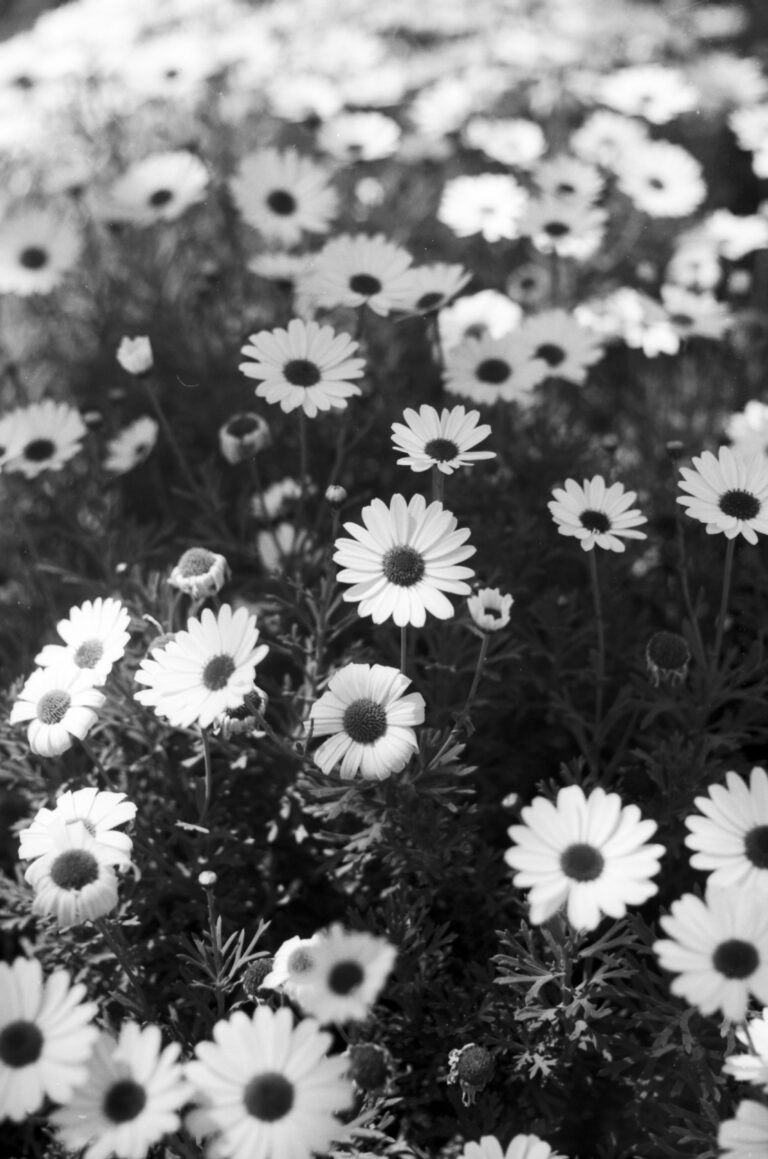 Photo by Adrian Romero