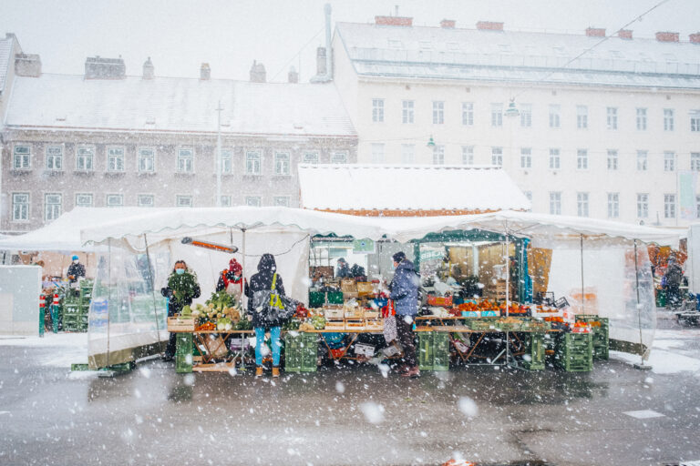 Photo by Matthias Fenzl