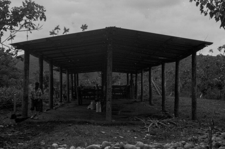 Photo by Adrian Romero